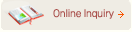 Online Inquiry